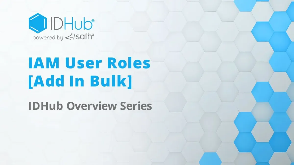 Adding Bulk Roles For Upload - Video